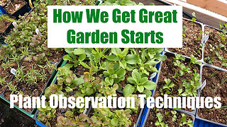 How We Get Great Seedlings & Plant Observation Techniques