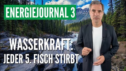 Wasserkraft: Jeder fünfte Fisch stirbt - Energiejournal 3