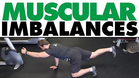 Exercises For Muscular Imbalances | Low Back & Hips