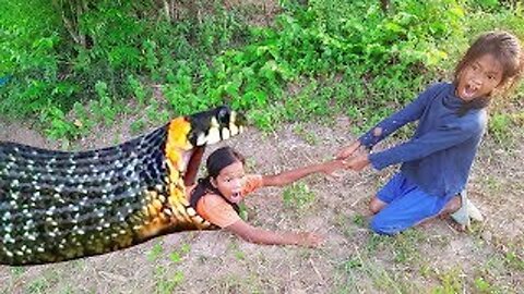 Amazing Smart Sisters Catch Big Snakes Using Bird Cage Trap