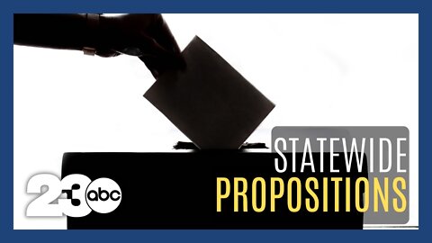 What are the statewide propositions on the ballot?