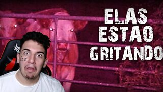 As vacas de nossa fazenda começaram a gritar... - [CREEPYPASTA] REACT