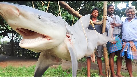 120KG Shark Cutting and Cooking | Epic Shark Recipe"