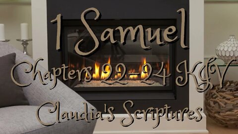 The Bible Series Bible Book 1 Samuel Chapters 22-24 Audio