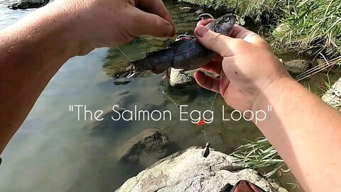 KEEP YOUR BAIT ON! Tying Fishing Knots | The Salmon Egg Loop | How to Tutorial