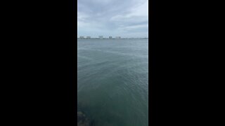 Still before the storm at Biscayne Bay