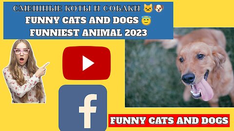 СМЕШНЫЕ КОТЫ И СОБАКИ 🐱🐶 FUNNY CATS and DOGS 😇 Funniest Animal 2023