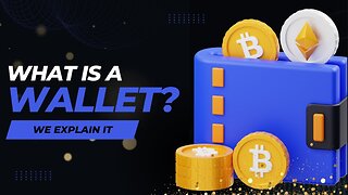 Crypto Wallet: Where Is Your Digital Money Stored?
