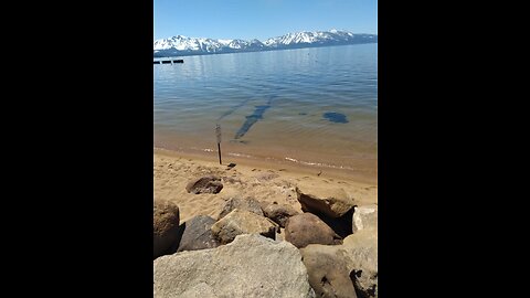 Trippin' in Tahoe...