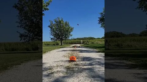 Discus Throw practice, low and fast 140 feet