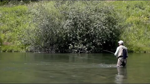 How To Fish A Dry Fly Downstream - RIO Products