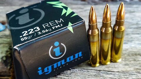 Igman .223 Rem Test