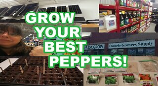 Start Pepper Seeds Now! SHOP WITH ME @ Ontario Growers Supply & Costco #seedstarting #growingpeppers