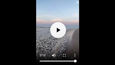 Thousands Of Fish Washed Up Along A Texas Beach!