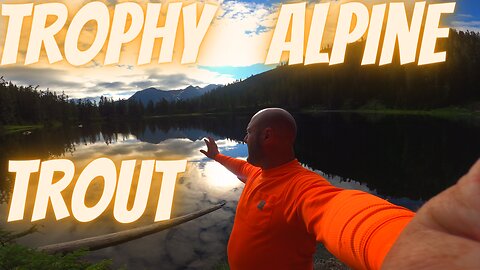This Alpine Lake Has TROPHY Size Mountain Trout in it!