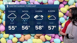 Widely Scattered Showers Today