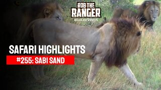 Safari Highlights #255: 26 - 28 February 2014 | Sabi Sand Nature Reserve | Latest Wildlife Sightings