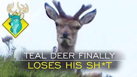 TL;DR - Teal Deer Finally Loses His Shit [15/Aug/16]