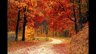 Melody of autumn.Relax with a beautiful melody!Beautiful romantic music.