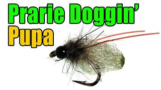 Prairie Doggin' Caddis Pupa Fly Tying - James Spicer Fly Pattern