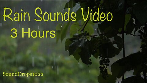 3 Hours Of Rain Sounds Video For Relaxing