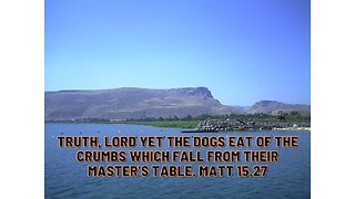 Truth, Lord yet the dogs eat of the crumbs which fall from their master's table. Matt 15.27