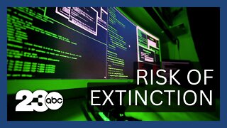 AI's Existential Threat: Experts Sound Alarm on Extinction