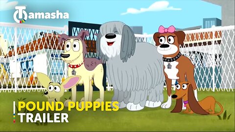 Watch Pound Puppies on Tamasha