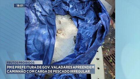 Frutos proibidos: PM e Prefeitura de GV apreendem caminhão com carga de pescado irregular