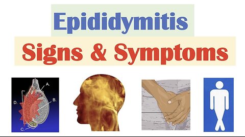 Epididymitis (Scrotal Pain) Signs & Symptoms | & Why They Occur