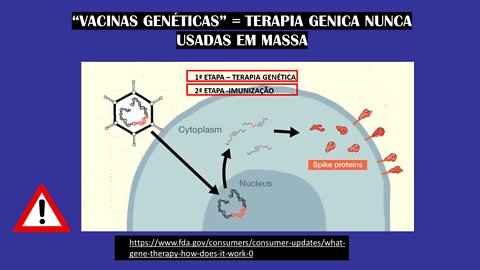 RISCOS VACINA CONTRA COVID EM CRIANÇAS DE 5-11 ANOS