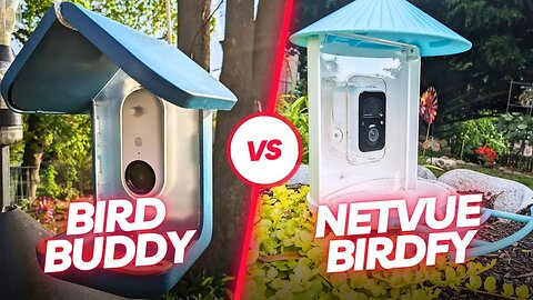Which Smart Bird Feeder Is The Best For You?