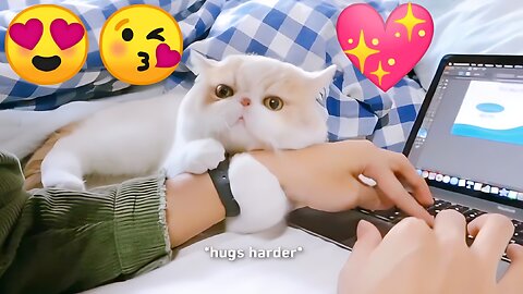 A Cute Cat Is Keeping Away Her Owner From Office Work 😍😻❤️ #TrendingVideo #ViralVideo