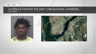 Teen faces multiple felony charges including carjacking