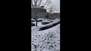 Second winter video