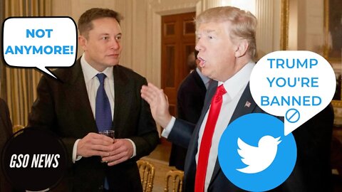 Elon Musk Says He Will Unban Trump On Twitter