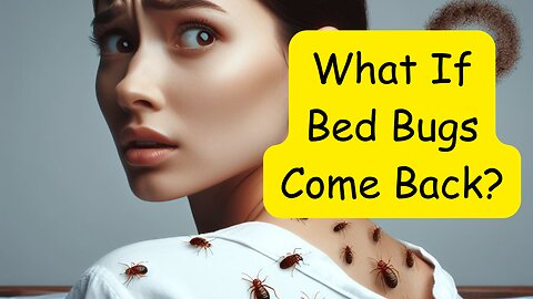 Bed Bugs After Treatment