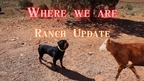 Where We Are- Ranch Projects Update