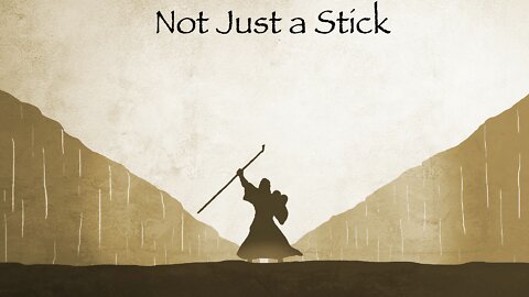 Not Just A Stick