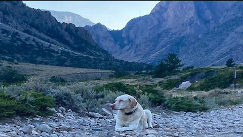 Clark Wyoming - Spending the Day Hiking to Bridal Veil Falls and Rescuing the Dog