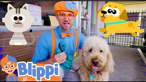 Blippi Cares For Pets At The Animal Shelter! Fun and Education videos for kids