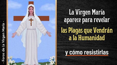 La Virgen María aparece para revelar las Plagas que Vendrán a la Humanidad [y cómo resistirlas]