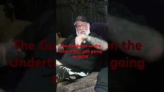 The Godwinns On The Undertaker: Wcw Bound