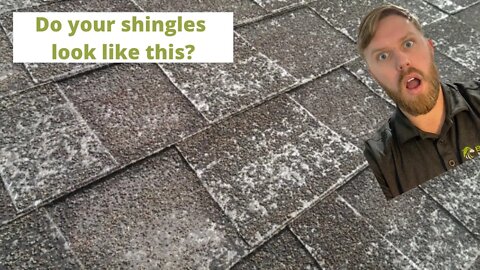 What causes granulate loss on your shingles?