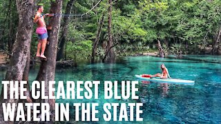 You Can Paddle Down This 4-Mile Sapphire Spring Run Near Tallahassee This Summer