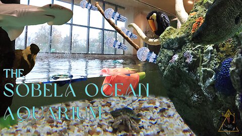 SOBELA Ocean Aquarium and Everything YOU NEED TO KNOW Before Visiting | BEC TREK Episode 33