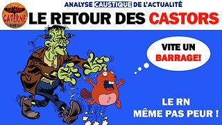 Législatives : le retour des castors (24/06/2024)