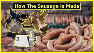 How the sausage is made.