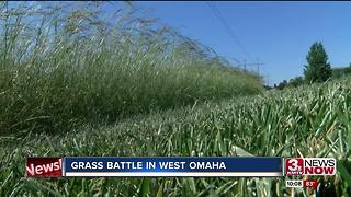 Grass battle in West Omaha