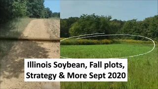 Illinois Food plot update, Deer stands & strategy farm vlog